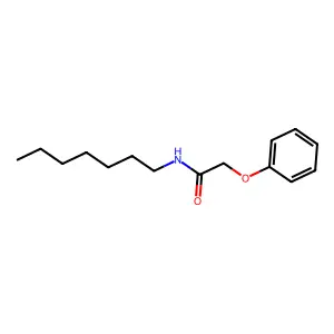 N-Heptyl-2-phenoxyacetamide structure