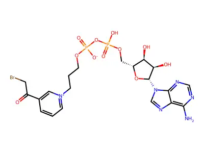8-Hydroxyadenosine 5'-monophosphate structure