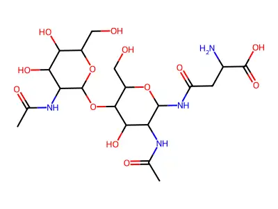 N2-Asn structure