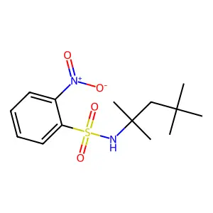 2-nitro-N-(2,4,4-trimethylpentan-2-yl)benzene-1-sulfonamide structure