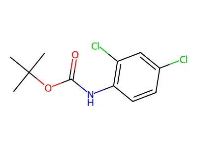 Carbamic acid, (2,4-dichlorophenyl)-, 1,1-dimethylethyl ester structure