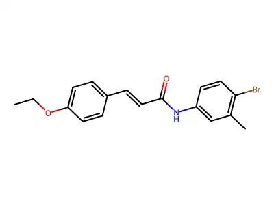 N-(4-bromo-3-methylphenyl)-3-(4-ethoxyphenyl)prop-2-enamide structure
