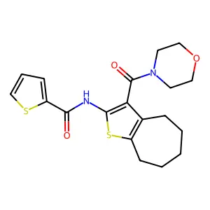 N-[3-(morpholin-4-ylcarbonyl)-5,6,7,8-tetrahydro-4H-cyclohepta[b]thiophen-2-yl]thiophene-2-carboxamide structure