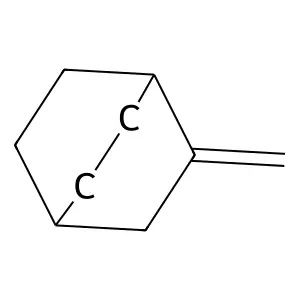 2-Methylene-bicyclo(2.2.2)octane structure