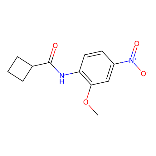 N-(2-methoxy-4-nitrophenyl)cyclobutanecarboxamide structure