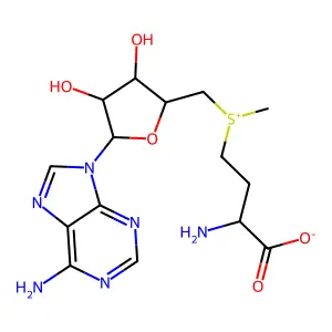 S-腺苷甲硫氨酸 structure