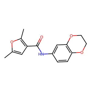 N-(2,3-dihydro-1,4-benzodioxin-6-yl)-2,5-dimethyl-3-furamide structure