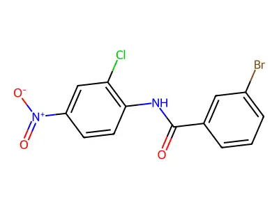 3-bromo-N-(2-chloro-4-nitrophenyl)benzamide structure