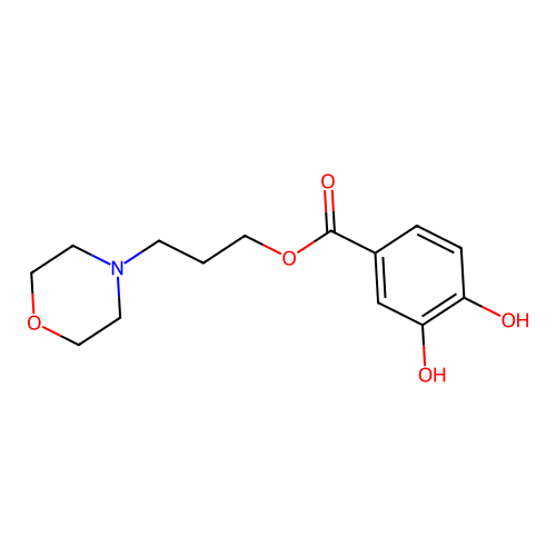 3-Morpholin-4-ylpropyl 3,4-dihydroxybenzoate structure