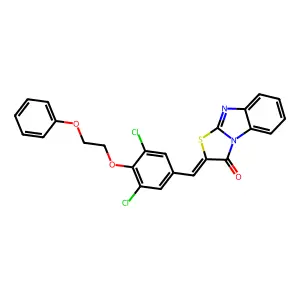 BIM-0005428.P001 structure