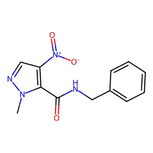 N-benzyl-1-methyl-4-nitro-1H-pyrazole-5-carboxamide structure