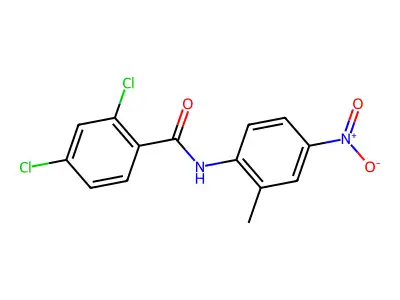 2,4-dichloro-N-(2-methyl-4-nitrophenyl)benzamide structure