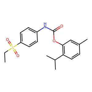 Histopine structure
