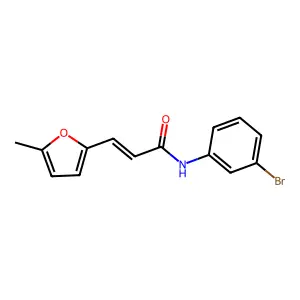 (2E)-N-(3-bromophenyl)-3-(5-methylfuran-2-yl)prop-2-enamide structure
