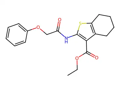 Ethyl 2-(2-phenoxyacetamido)-4,5,6,7-tetrahydro-1-benzothiophene-3-carboxylate structure