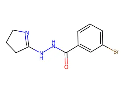 3-bromo-N'-(3,4-dihydro-2H-pyrrol-5-yl)benzohydrazide structure