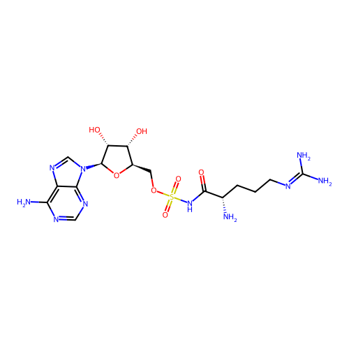 Arg-AMS structure