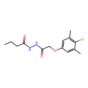 N'-[2-(4-chloro-3,5-dimethylphenoxy)acetyl]butanehydrazide structure