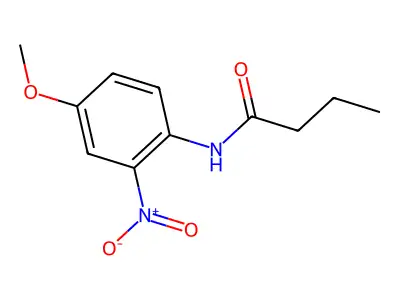 N-(4-methoxy-2-nitrophenyl)butanamide structure