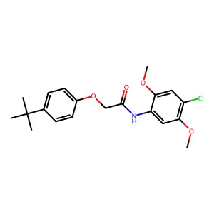 2-(4-tert-butylphenoxy)-N-(4-chloro-2,5-dimethoxyphenyl)acetamide structure
