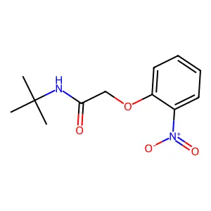 N-tert-butyl-2-(2-nitrophenoxy)acetamide structure