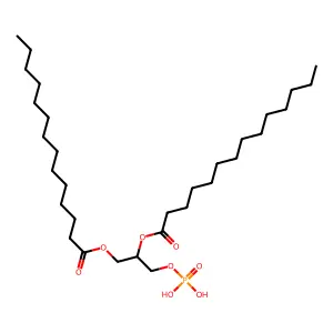 Dimyristoyl phosphatidic acid structure