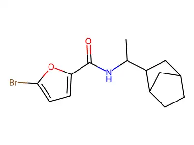 N-[1-(3-bicyclo[2.2.1]heptanyl)ethyl]-5-bromofuran-2-carboxamide structure