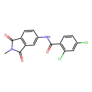 2,4-dichloro-N-(2-methyl-1,3-dioxoisoindol-5-yl)benzamide structure