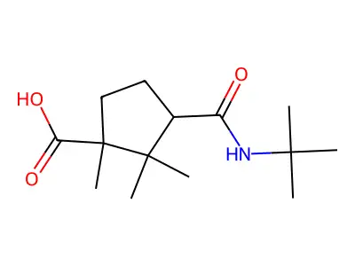 3-(Tert-butylcarbamoyl)-1,2,2-trimethylcyclopentanecarboxylic acid structure