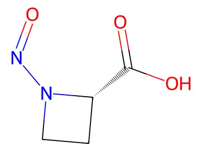 2-Azetidinecarboxylic acid, 1-nitroso- structure