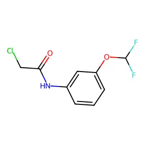 2-chloro-N-[3-(difluoromethoxy)phenyl]acetamide structure