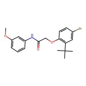 2-(4-bromo-2-tert-butylphenoxy)-N-(3-methoxyphenyl)acetamide structure