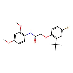 2-(4-bromo-2-(tert-butyl)phenoxy)-N-(2,4-dimethoxyphenyl)acetamide structure