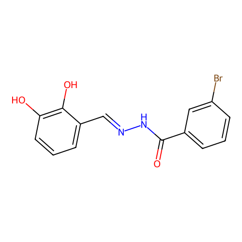 3-bromo-N-[(2,3-dihydroxyphenyl)methylideneamino]benzamide structure