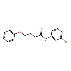 N-(3-bromophenyl)-4-phenoxybutanamide structure