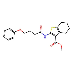 methyl 2-[(4-phenoxybutanoyl)amino]-4,5,6,7-tetrahydro-1-benzothiophene-3-carboxylate structure