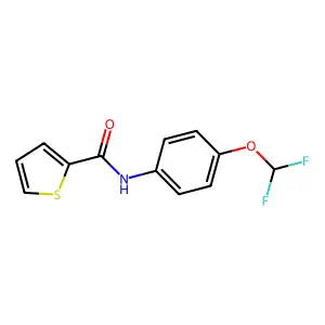 N-[4-(difluoromethoxy)phenyl]thiophene-2-carboxamide structure