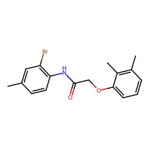 N-(2-bromo-4-methylphenyl)-2-(2,3-dimethylphenoxy)acetamide structure