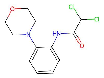 2,2-dichloro-N-(2-morpholinophenyl)acetamide structure
