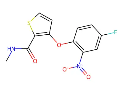 3-(4-fluoro-2-nitrophenoxy)-N-methylthiophene-2-carboxamide structure