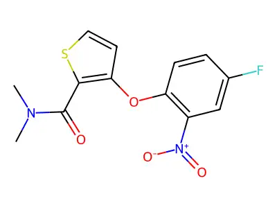 3-(4-fluoro-2-nitrophenoxy)-N,N-dimethylthiophene-2-carboxamide structure