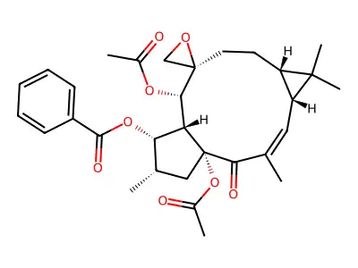 Euphorbia factor L25 structure