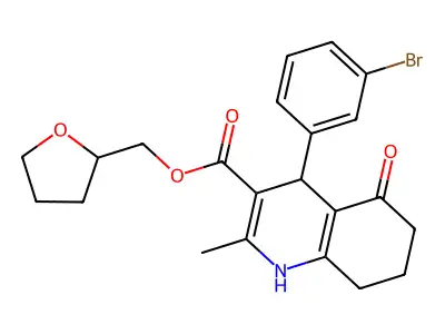 BAS 01052023 structure