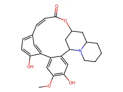 Lyfoline structure
