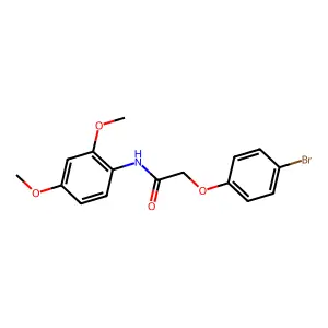 2-(4-bromophenoxy)-N-(2,4-dimethoxyphenyl)acetamide structure