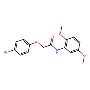 2-(4-bromophenoxy)-N-(2,5-dimethoxyphenyl)acetamide structure