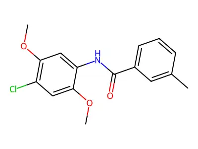 N-(4-chloro-2,5-dimethoxyphenyl)-3-methylbenzamide structure