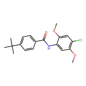 4-tert-butyl-N-(4-chloro-2,5-dimethoxyphenyl)benzamide structure
