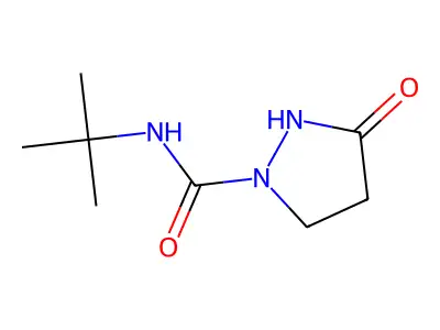 N-tert-butyl-3-oxopyrazolidine-1-carboxamide structure