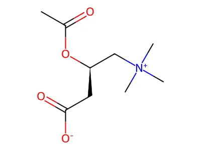 乙酰肉鹼 structure